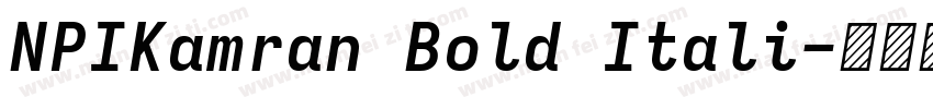 NPIKamran Bold Itali字体转换